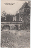HAUTE MARNE - CHATEAUVILLAIN - Pont De L'Entrée Du Parc - Chateauvillain