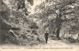 Clisson * Les Bords De Sèvre Vers Le Moulin Neuf * Environs - Clisson