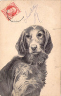 Chien - Illustration Non Signée - Chien De Chasse Avec Collier - Carte Postale Ancienne - Cani