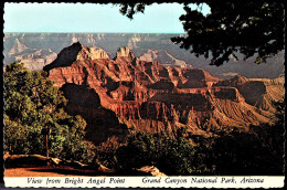 Grand Canyon, View From Bright Angel Point, Arizona - Unused - Grand Canyon