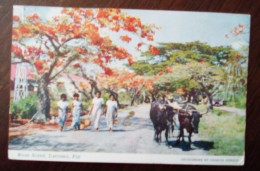 CPA - Fidji - Road Scene, Lautoka, Fiji - Fidji