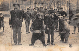 LES OURS DU PAYS- DANS LES PYRENEES - Ours