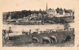 Château La Vallière * Vue Générale Sur Le Lac * Troupeau Moutons - Other & Unclassified