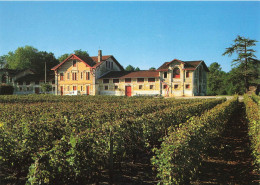 Léognan * Le Château LE SARTRE , Pessac Léognan * Vignoble Vin Vignes - Andere & Zonder Classificatie