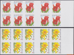 België 2001 - Mi:MH 3095/3096, Yv:C 3041/3042, OBP:B 39/40, Booklet - □ - Trumpet Narcissus Red Tulip - 2001-…