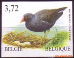 België 2003 - Mi:3261, Yv:3199, OBP:3212, Stamp - □ - Birds Moorhen - 2001-…