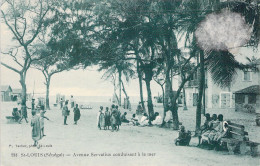 SENEGAL - SAINT LOUIS - Avenue Servatius Conduisant à La Mer - Carte Postale Ancienne - Sénégal