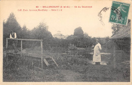 CPA 91 BALLANCOURT / ILE DU SAUSSAYE / PECHE A LA LIGNE - Ballancourt Sur Essonne