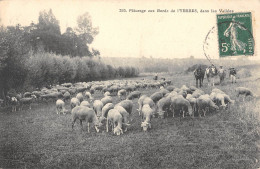 CPA 91 PATURAGE AUX BORDS DE L'YERRES DANS LES VALLEES / BERGER / MOUTONS - Sonstige & Ohne Zuordnung