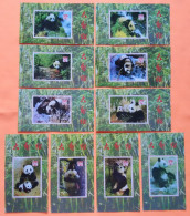 China Commemorative Sheet Of Panda,no Face Value,10v - Collezioni & Lotti