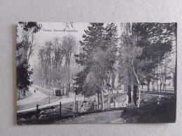 TORINO 1909 PARCO DEL VALENTINO  ANIMATA TRAM - Parks & Gärten