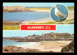 Guernsey Guernesey Aurigny Alderney  Corblets Bay - Guernsey