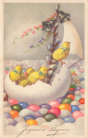 Joyeuses Pâques * Cpa Illustrateur * Poussins Dans Une Oeuf En Forme De Bateau - Easter