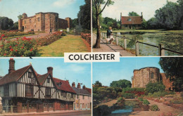 - COLCHESTER (Essex) - Multi Vues - Scan Verso - - Colchester