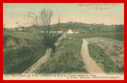 * Petit Chemin Du Trieu Conduisant Au Mont De Trinité Venant Du Tram - Colorisée - Edit. POTTIAU - 1906 - Doornik