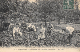 CPA 91 VERRIERES LE BUISSON / LA CUEILLETTE DES FRAISES - Sonstige & Ohne Zuordnung