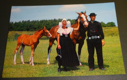 Paarden - Horses - Pferde - Cheveaux - Zeeland - Zeeuwse Klederdracht - Folklore - Van Leer - ZED 3 - 88 - Chevaux