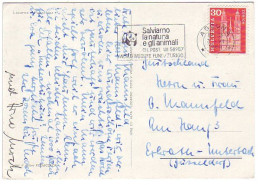 Postcard  / Postmark Switzerland 1964 - WWF - World Wildlife Fund - Panda Bear - Brieven En Documenten
