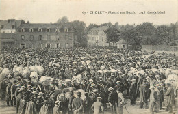 CHOLET MARCHE AUX BOEUFS 748 TETES DE BETAILY - Cholet