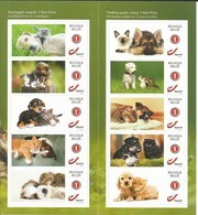 Boekje Van 10 Honden En Katjes - Altri & Non Classificati