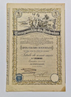 PORTUGAL- LISBOA - Companhia Do Amboim -Titulo De Uma Acção 100$00- Nº 279646 - 11 De Dezembro De 1920 - Navy