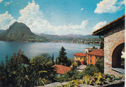 CARTOLINA  CASTAGNOLA-LUGANO,TESSIN,SVIZZERA-PANORAMA E MONTE S.SALVATORE,VIAGGIATA 1981 - Agno