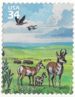 USA 2001 MiNr. 3450 Etats-Unis United States Great Plains Prairie, Birds Canada Goose 1v MNH** 0.90 € - Gänsevögel