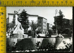 Delcampe - Chieti Gessopalena Piazza Roma (foto) - Chieti