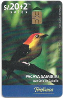 Peru - Telefónica - Pacaya Samiria - Ave Cola De Caballo, Chip Gem5 Red, 20+2Sol, 11.2000, 50.000ex, Used - Peru
