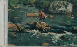 SPORT ET PECHE  LE PECHEUR DE TRUITE , Cachet CHARROUX 1975 VIENNE  (Mar 2023 176) - Charroux