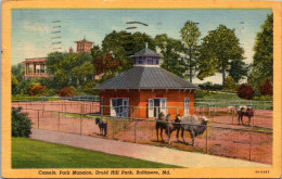 Maryland Baltimore Druid Hill Park Park Mansion Camels 1959 Curteich - Baltimore