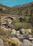 GARD VIEUX PONT DANS LES GORGES SAUVAGES DU LUECH PRES DE CHAMBORIGAUD - Chamborigaud