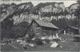 Braunwald Am Rietberg 1909 - Braunwald