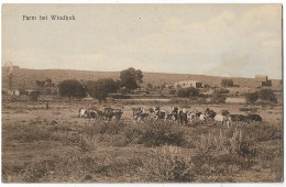 Namibia Windhuk Germany Colonial Issue Photo Picture Postcard  Af.1 - Namibië