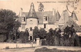 18 ENVIRONS DE MASSAY CHATEAU DE CHEVILLY ANIMEE - Massay