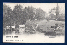 Environs De Virton. Dampicourt. Fillette Et Ses Vaches Au Bord Du Ton. Ca 1900 - Rouvroy