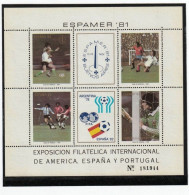 SSCF855- ARGENTINA1981- MNH (FILATELIA) - Blocks & Kleinbögen