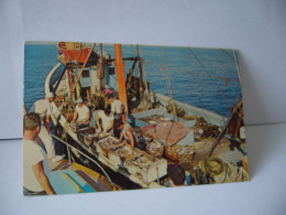 COMMERCIALIAL FISHING BOAT OUT OF PROVINCETOWN ON CAPE COS MA MASSACHUSETTS  ETAT UNIS USA  CP FORMAT CPA1970 - Cape Cod