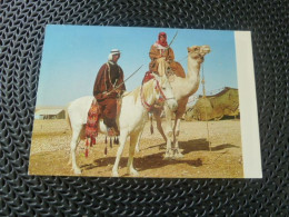 Beduin Horsemen Des Cavaliers Bedouins - 9211 -Editions Herzlia - Israel - - Jordanie