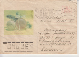 Rusland Omslag Cat. Michel-Ganzsachen U109 - Stamped Stationery