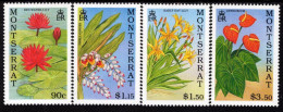 Montserrat - 1991 - Flowers - Mint Stamp Set - Montserrat