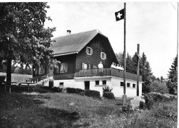 KRIENS ► Bergheim Grauenstein, Gäste Auf Der Terrasse Anno 1962 - Kriens