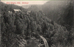 ! Alte Ansichtskarte Odda, Hardanger, Hotel Udsigten, Norwegen, Norway - Norvège