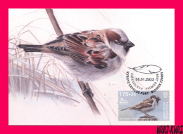 KYRGYZSTAN 2022-2023 Nature Fauna Birds Bird Of Year House Sparrow Mi KEP 188 Maxicard Maximum Card - Sparrows