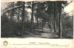 CPA Carte Postale Belgique Kemmel Avenue Du Mont  VM64846 - Heuvelland