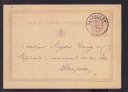 DDDD 750 -- Entier Lion Couché - Double Cercle CAPPELLEN 1876 Vers Bruxelles - Origine Manuscrite HOOGBOOM - Postcards 1871-1909