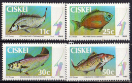 CISKEI - Pêche à La Ligne - Ciskei