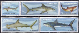 CISKEI - Requins - Ciskei