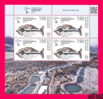 KYRGYZSTAN 2022-2023 International Year Of Artisanal Fisheries And Aquaculture Fish Fishes M-s Mi KEP Klb.201 MNH - Agriculture