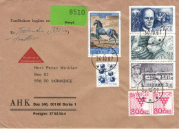 Boras 1987 - Blatigern Pferd - Raoul Wallenberg - Dag Hammarskjöld - Folke Bernadotte Vgl. UNTSOP - P. Spinosa - Chemie - Storia Postale